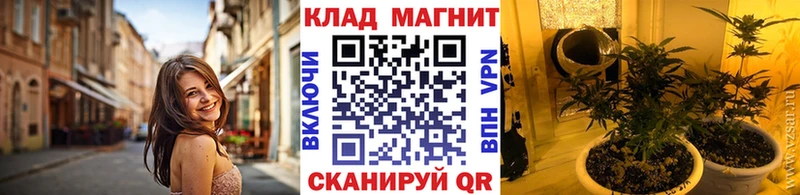 Купить закладку Назрань Alpha PVP Марихуана МЕФ ГАШИШ COCAIN