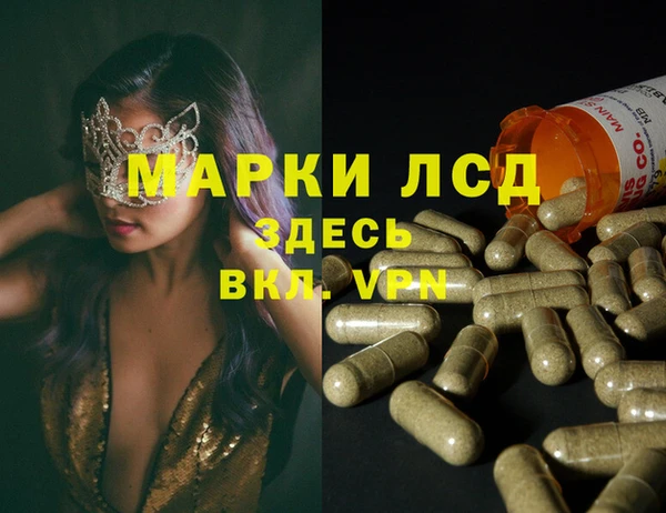 apvp Алексин