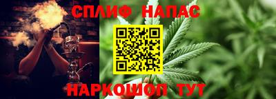 ГАЛЛЮЦИНОГЕННЫЕ ГРИБЫ Гусь-Хрустальный