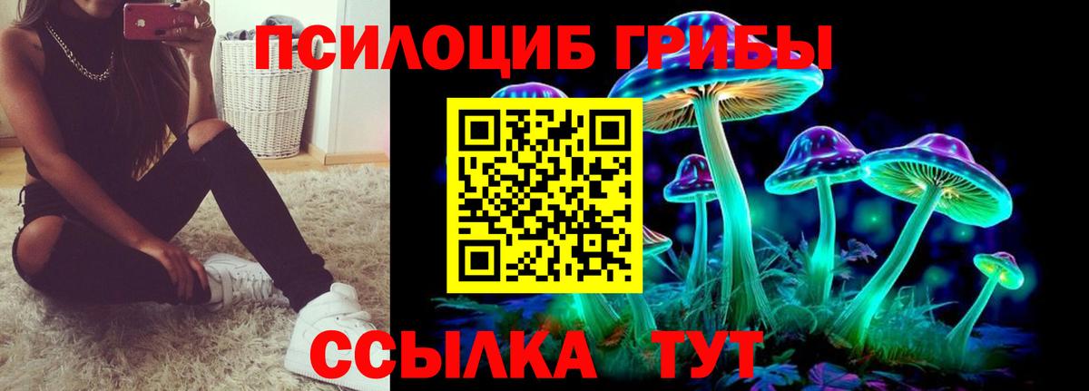 Назрань  Галлюциногенные грибы GOLDEN TEACHER  Вход с VPN 