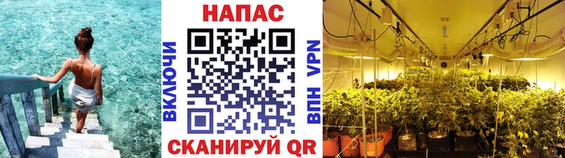 Канабис Amnesia Назрань